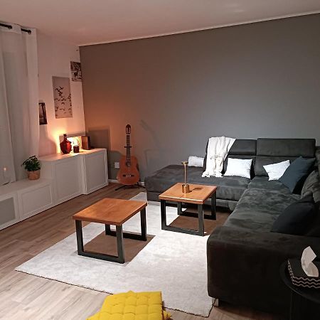Stylish 1-Bedroom Flat With Beautiful Terrace , For A Cosy Retreat สตราสบูร์ก ภายนอก รูปภาพ